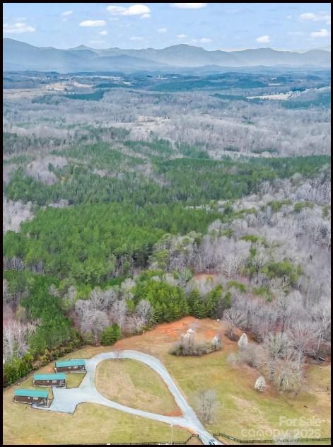 1217 Moore Road 70, 80, & 90, Tryon, NC 28782 - aerial view of mountains and a forest
