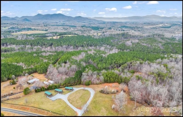 1217 Moore Road 70, 80, & 90, Tryon, NC 28782 - aerial overview of property's location with a mountain backdrop