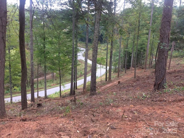 31 Timber Hill Dr Unit 19, Leicester, NC 28748