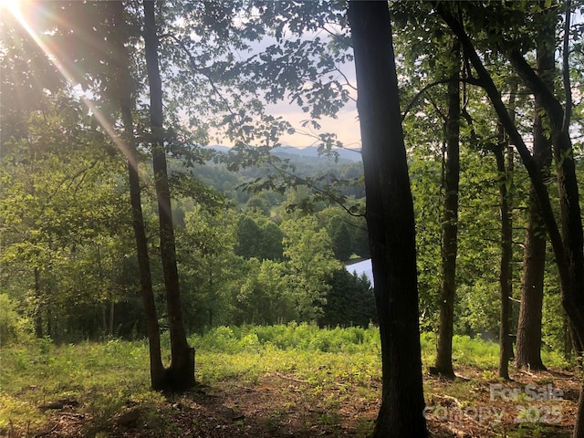 31 Timber Hill Dr Unit 19, Leicester, NC 28748