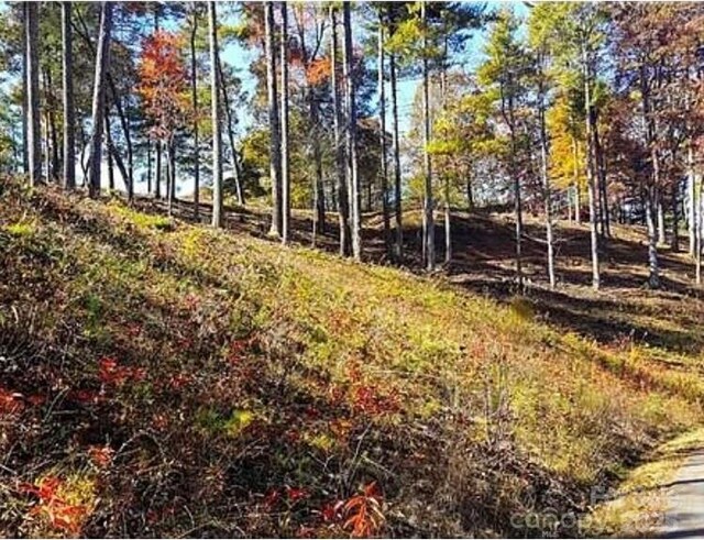 31 Timber Hill Dr Unit 19, Leicester, NC 28748