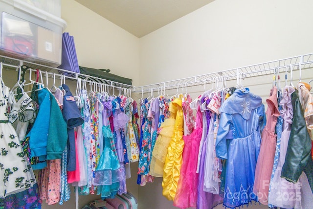 view of walk in closet