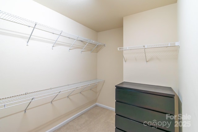 spacious closet with light carpet