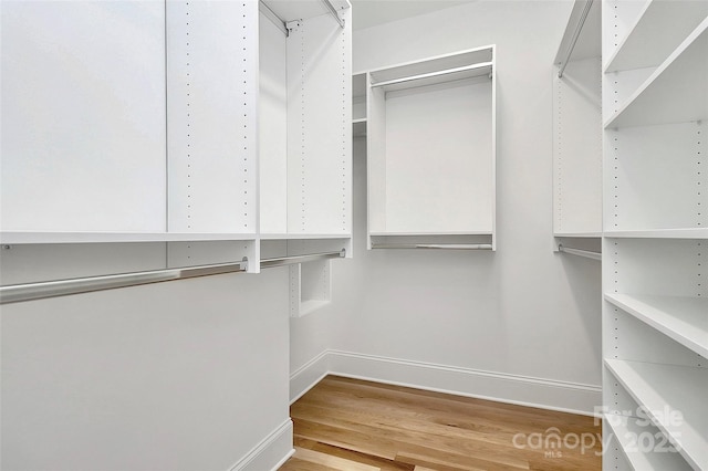 spacious closet with light wood-style flooring