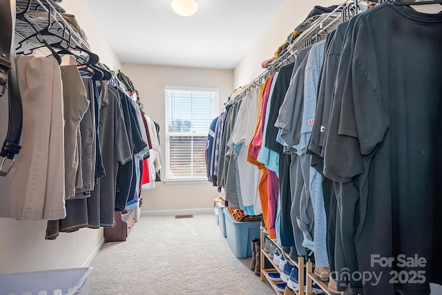 spacious closet featuring carpet flooring and visible vents