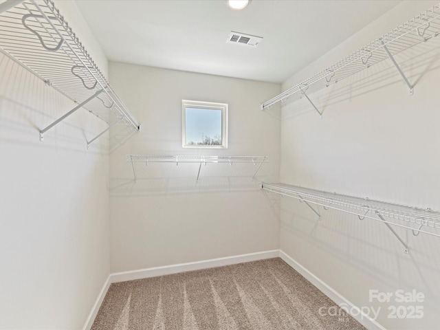 spacious closet with visible vents and carpet