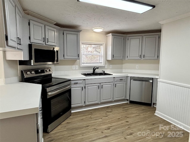 kitchen with a sink, light wood-style floors, appliances with stainless steel finishes, and gray cabinetry