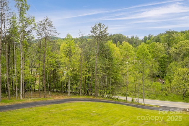 82 Arrowood Rd, Weaverville, NC 28787 - view of home's community with a wooded view and a lawn