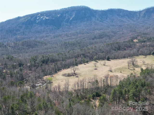 LOT57 Banjo Ct, Lake Lure NC, 28746 land for sale