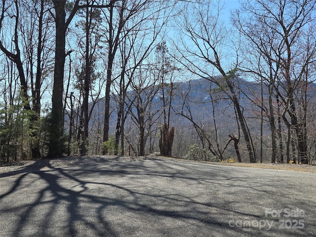 Listing photo 2 for LOT57 Banjo Ct, Lake Lure NC 28746