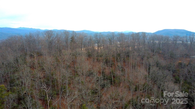 Listing photo 3 for TBD Kildrummy Dr, Pisgah Forest NC 28768