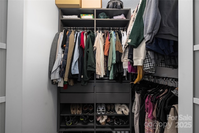 view of closet