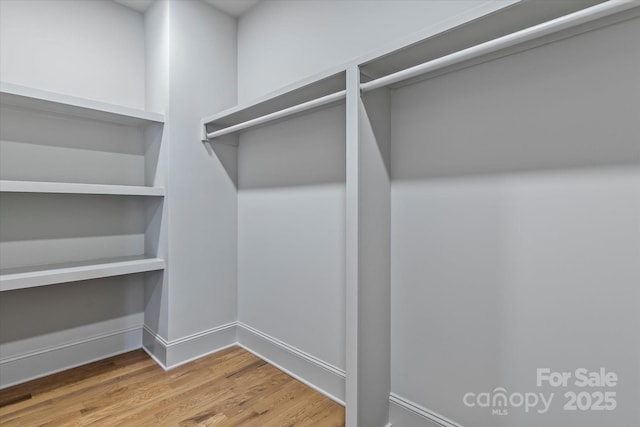 spacious closet featuring wood finished floors