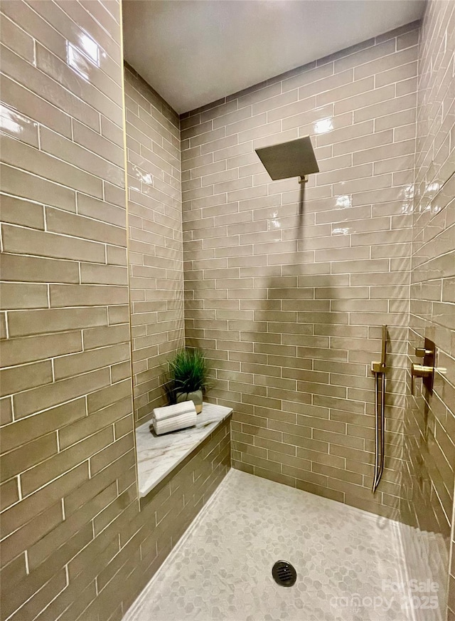 full bathroom with a tile shower