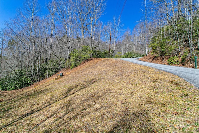 Listing photo 2 for TBD Still Branch Rd Unit L20, Brevard NC 28712