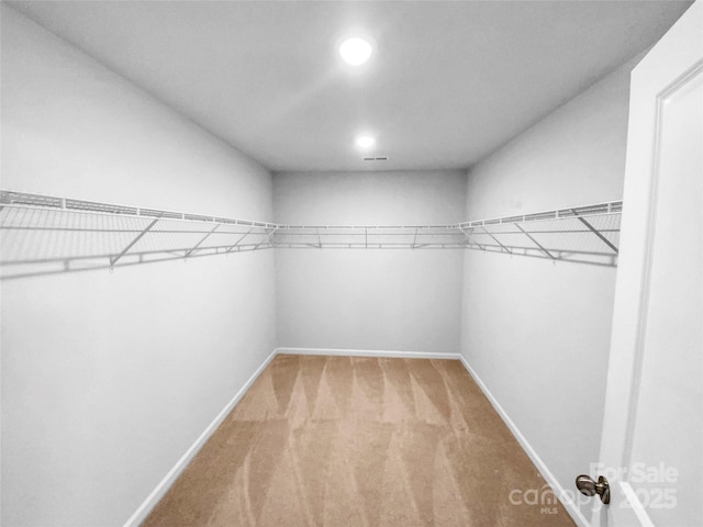 walk in closet with carpet floors