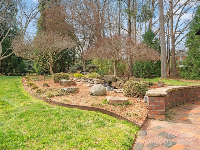 view of yard featuring a patio area