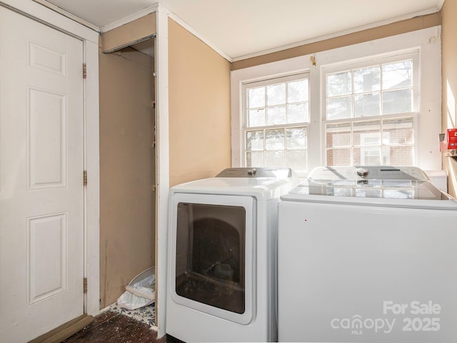 laundry room with washer and dryer, laundry area, and a healthy amount of sunlight