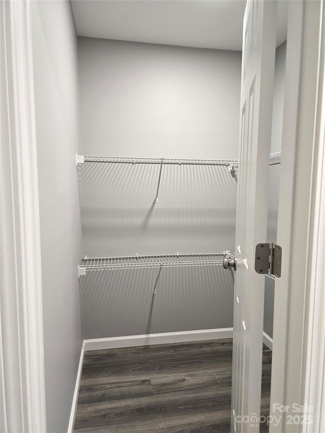 spacious closet with wood finished floors