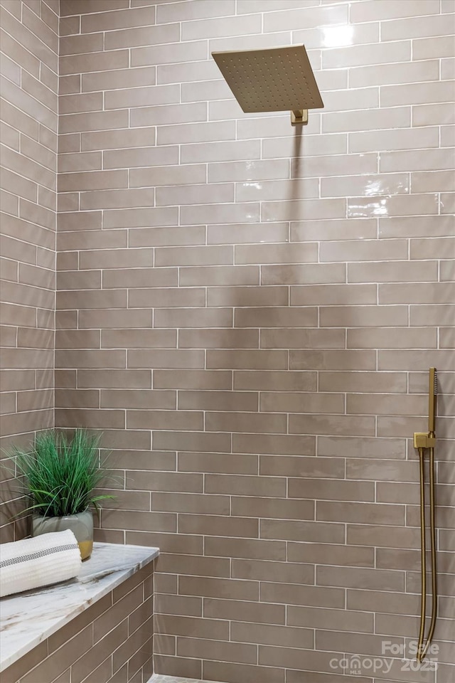 room details with tiled shower