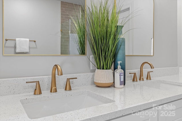 details featuring double vanity and a sink