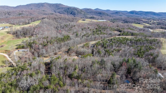 birds eye view of property with a mountain view