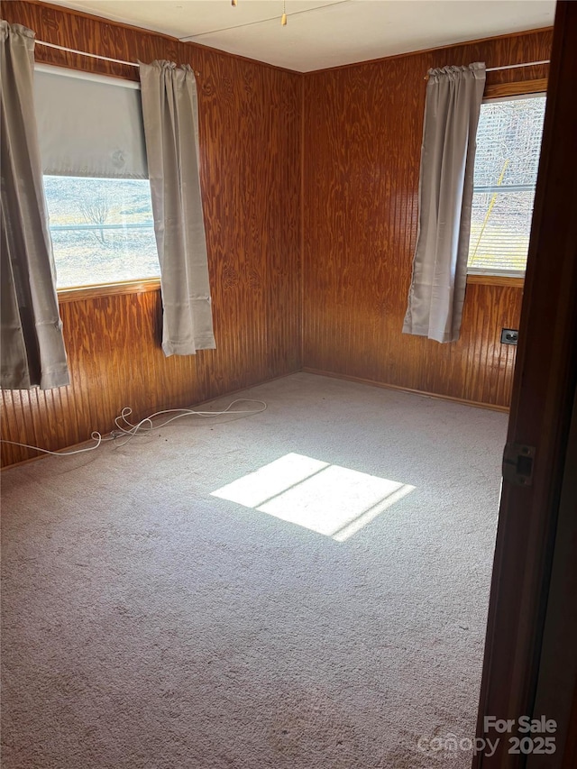 empty room with wooden walls and carpet