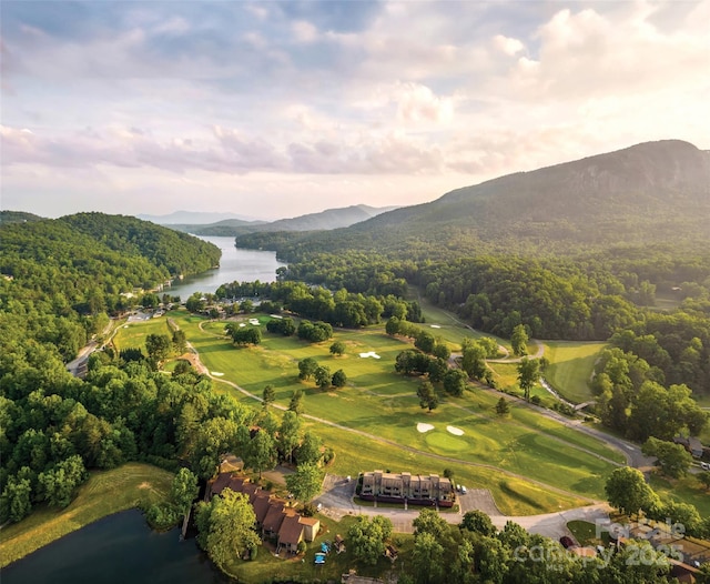 birds eye view of property with a water and mountain view and a view of trees