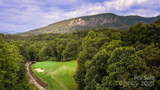 view of mountain feature with a view of trees