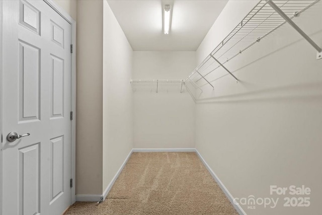 walk in closet featuring light carpet