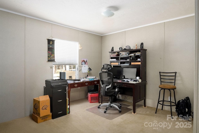 view of carpeted home office