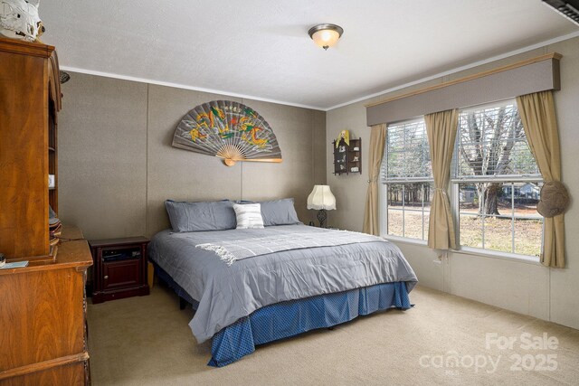 carpeted bedroom with crown molding