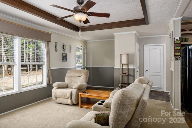 living area featuring crown molding, a textured ceiling, a raised ceiling, and baseboards