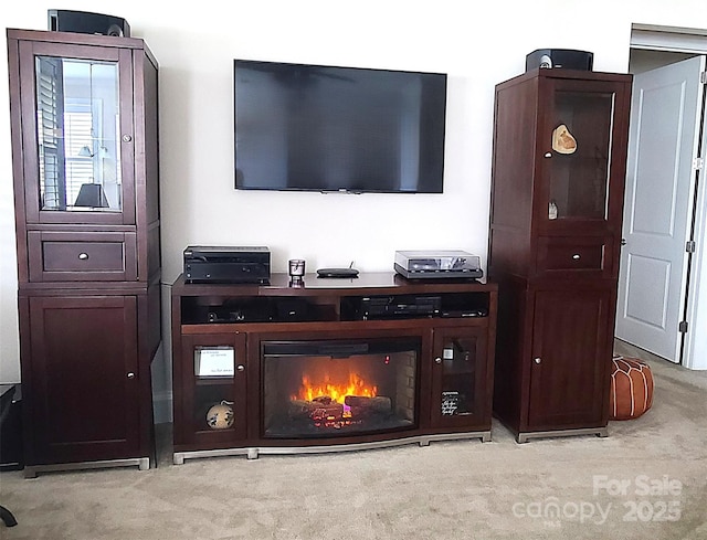 17436 Langston Dr, Charlotte, NC 28278 - detailed view of carpet