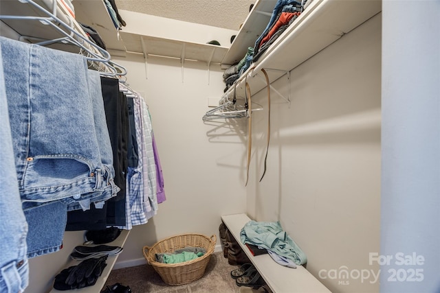 spacious closet with carpet floors