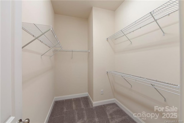 spacious closet with carpet