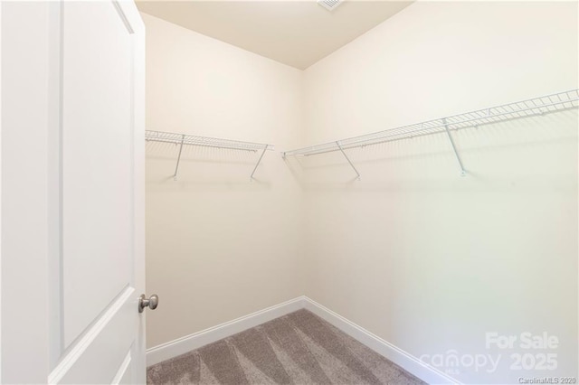 spacious closet with carpet floors