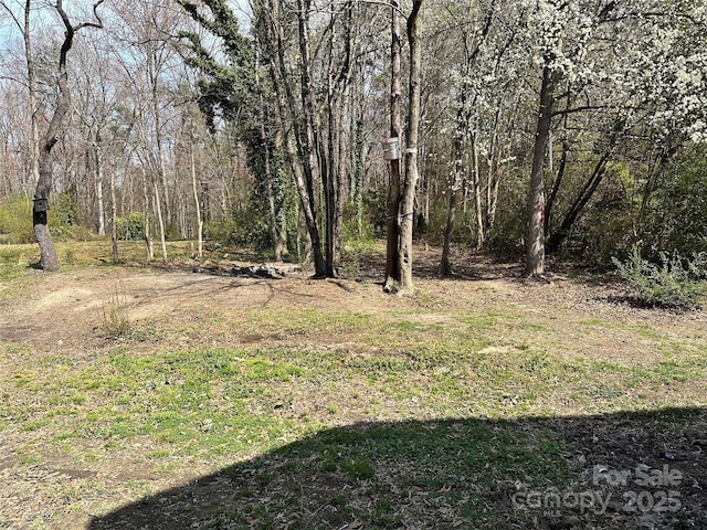 view of yard with a wooded view