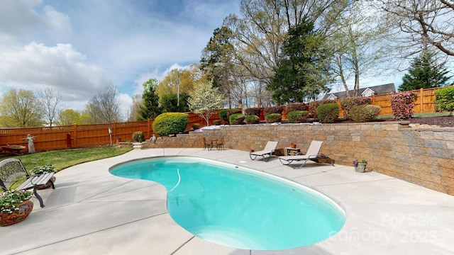 1620 London Rd, Mooresville, NC 28115 - view of swimming pool featuring a patio area and a fenced backyard