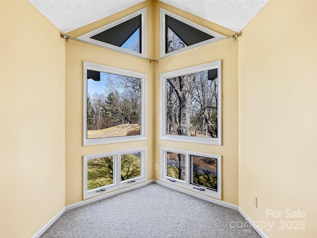 carpeted spare room featuring baseboards, a textured ceiling, and lofted ceiling