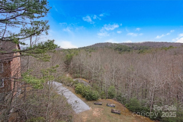 view of mountain feature featuring a wooded view