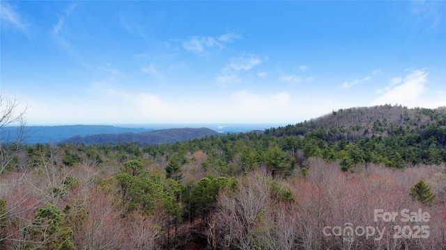 view of mountain feature featuring a forest view