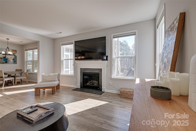 living room featuring plenty of natural light, a fireplace with flush hearth, visible vents, and wood finished floors