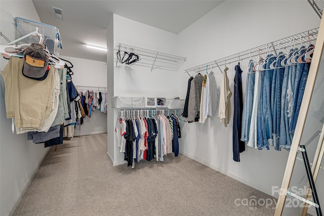 walk in closet with visible vents and carpet floors