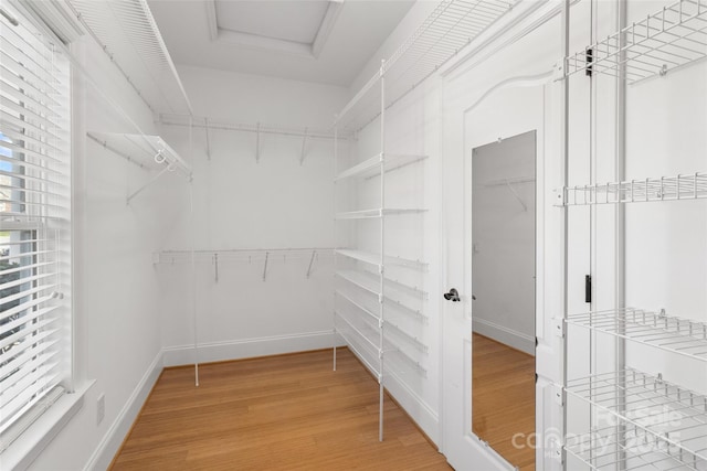 spacious closet featuring light wood finished floors, attic access, and a tray ceiling