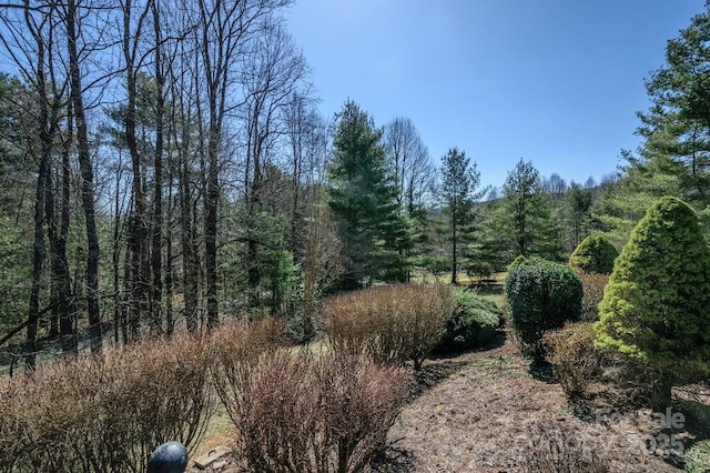 view of nature with a forest view