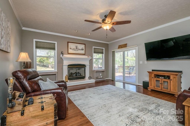 living area with ceiling fan, dark wood finished floors, ornamental molding, a glass covered fireplace, and a textured ceiling