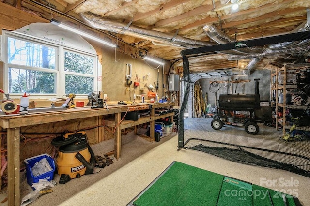 basement with a workshop area