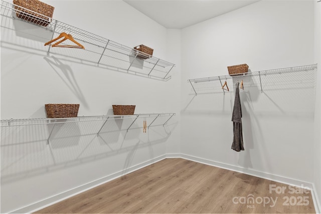 walk in closet featuring wood finished floors