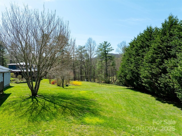140 Hangin Dog Ln, Lake Toxaway, NC 28747 - view of yard
